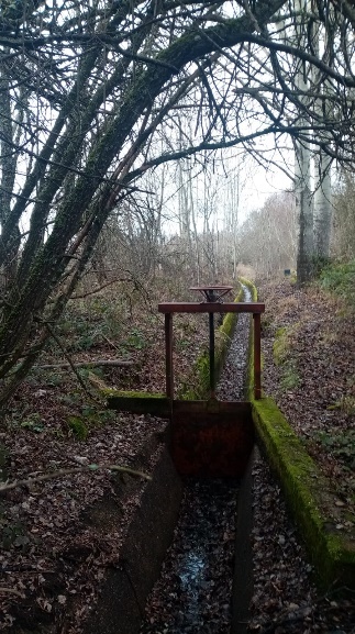Acequia y compuerta